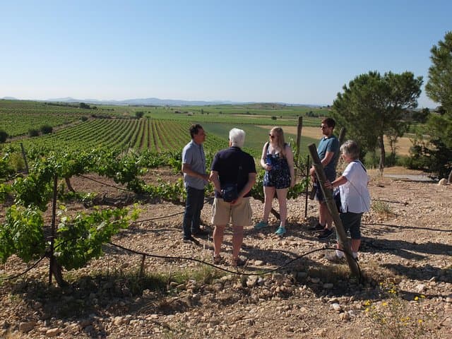 Two wineries tour with wine tasting