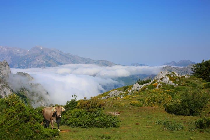 Full Day Private 4WD Tour from Santander to Picos de Europa. Excellent meals.