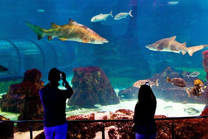 Barcelona Aquarium Skip the Line Ticket