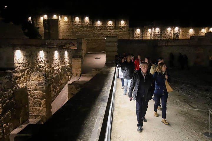 Guided Tour of Medina Azahara at Night