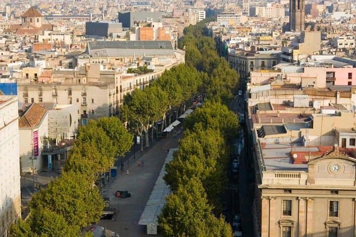 Private and customizable Barcelona Half-Day Tour