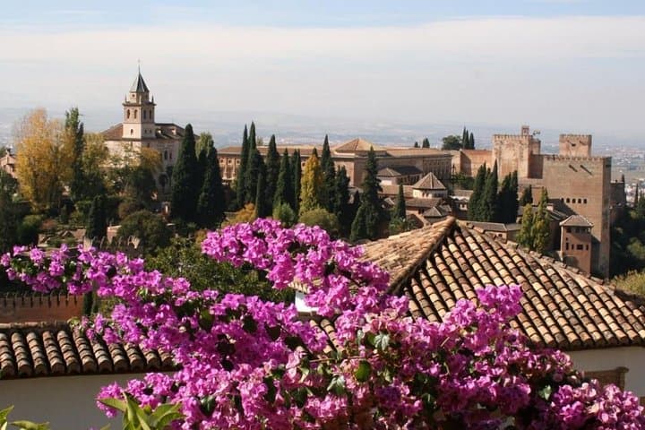 Alhambra &Charles Palace Guided Tour with Optional Nasrid Palaces