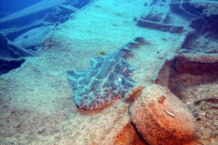 PADI Open Water Course in Gran Canaria