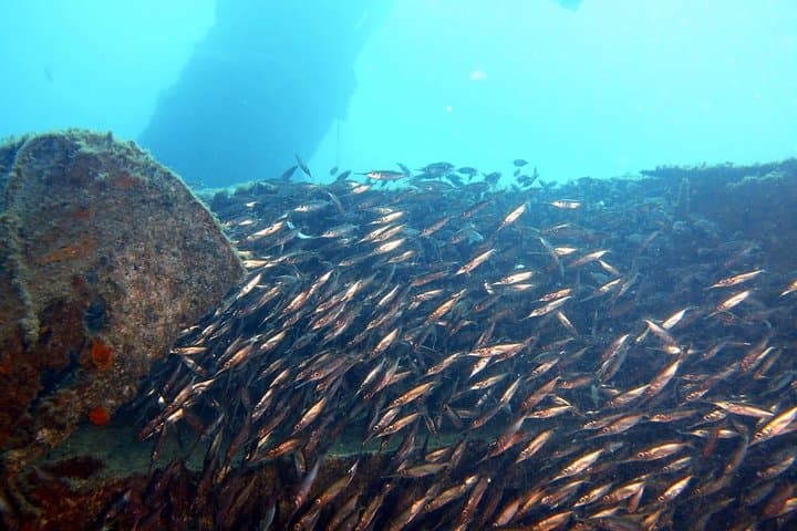 PADI Open Water Course in Gran Canaria