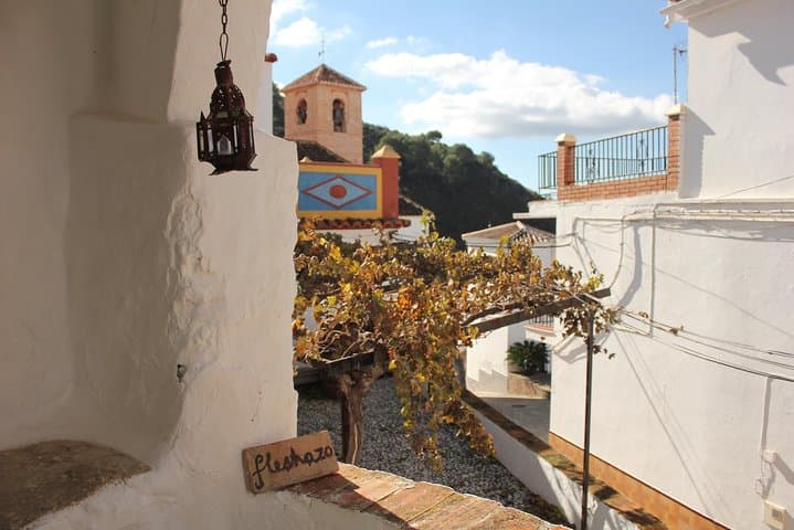 White Villages Tour in the Nerja area: Small-Group Tour and Lunch