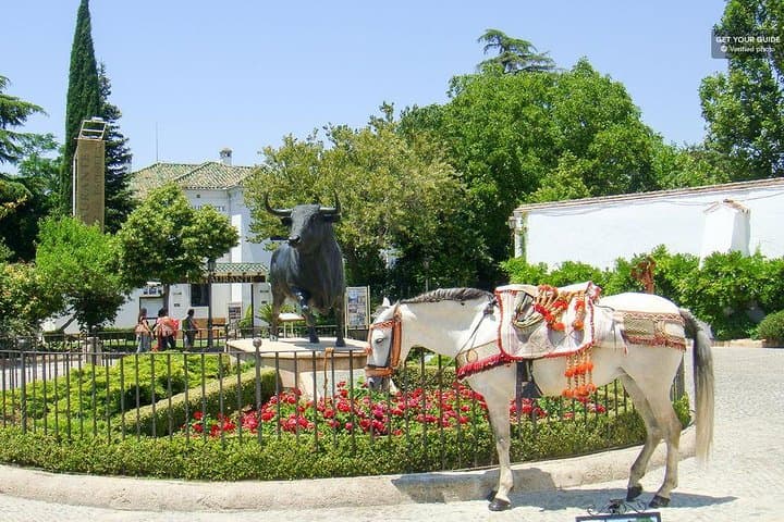 White Villages and Ronda Day Trip from Seville