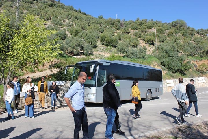 White Villages and Ronda Day Trip from Seville