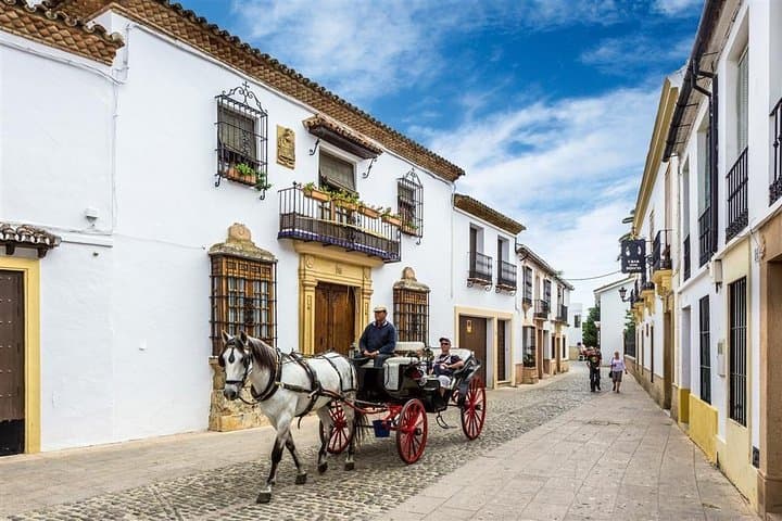 White Villages and Ronda Day Trip from Seville