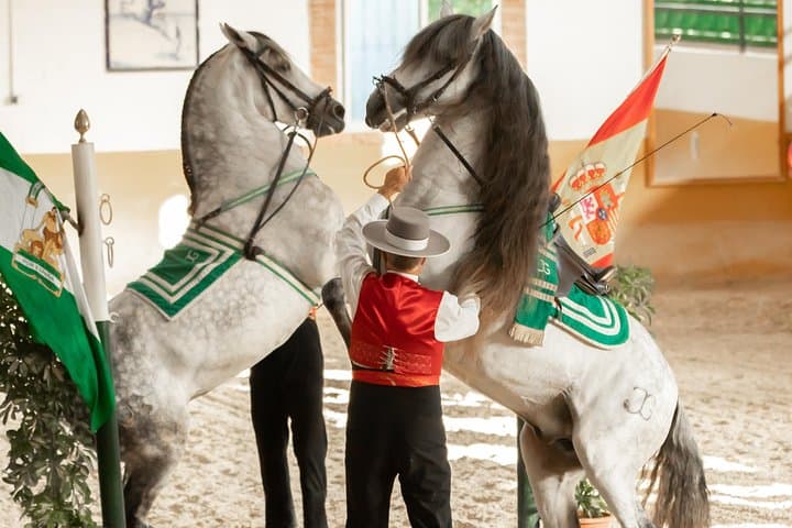 Horse and Flamenco Show in Malaga