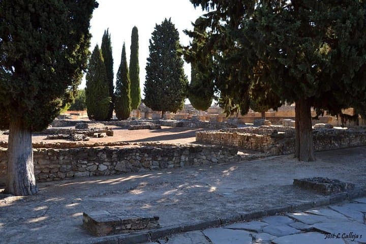 Group Excursion fron Seville to Italica Seville Roman Town