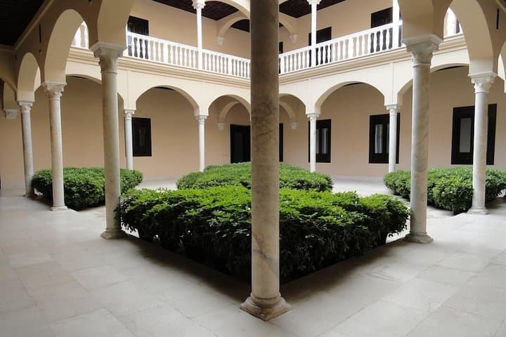 Private visit to Picasso Museum in Malaga with official tour guide