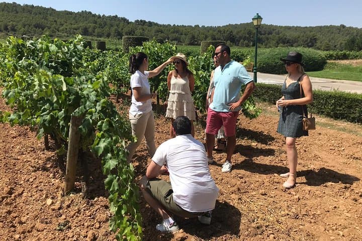 Private Day Trip from Barcelona to Montserrat