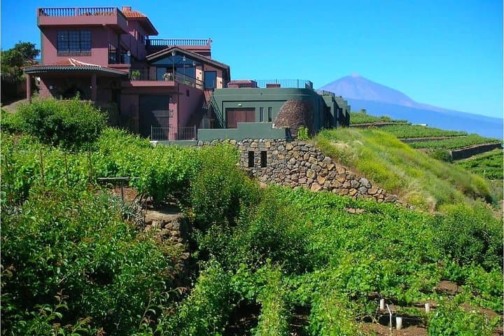 Bodegas Monje Winery Ticket + Wine Tasting & Mojo Sauce Workshop