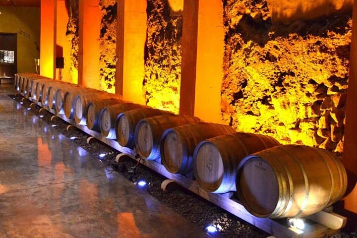Bodegas Monje Winery Ticket + Wine Tasting & Mojo Sauce Workshop