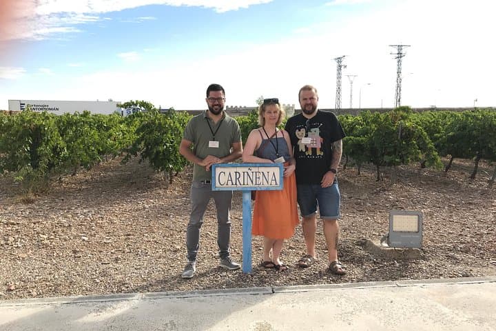 Haft-day Winery tour from Zaragoza