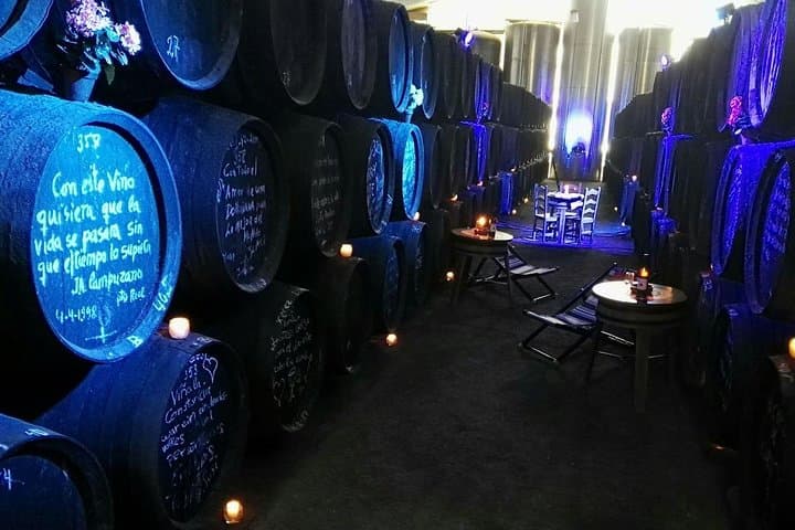 Sherry Experience in the Vineyard