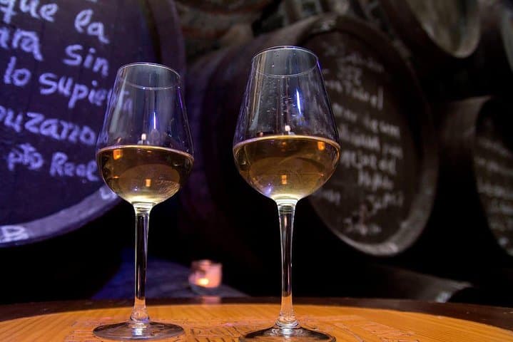 Sherry Experience in the Vineyard