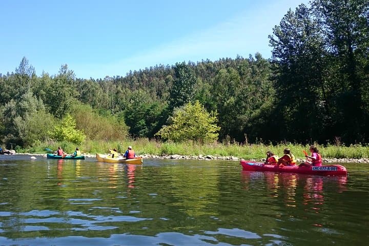 Guided kayaking on the Nalón river Oviedo