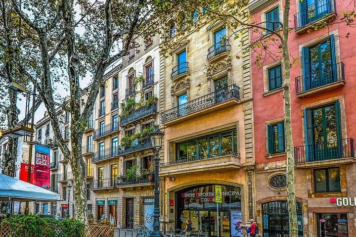 Private Half Day Walking Tour in Barcelona with walking pick up