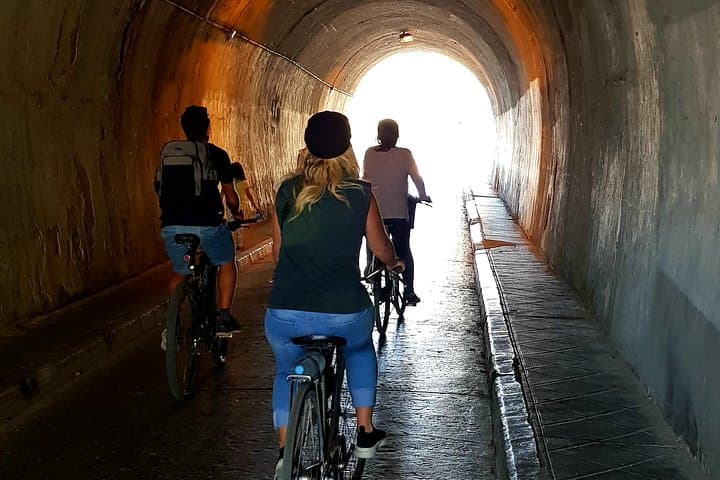 Rent a City Bike: Full Day 24 hours