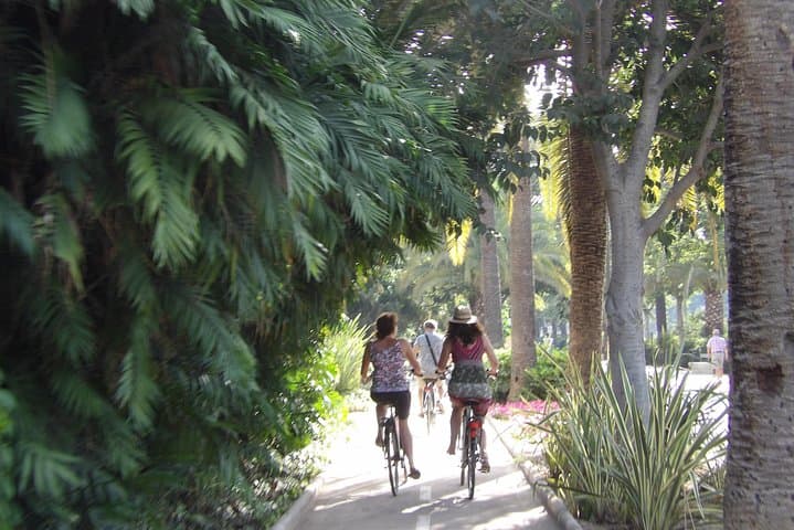Rent a City Bike: Full Day 24 hours