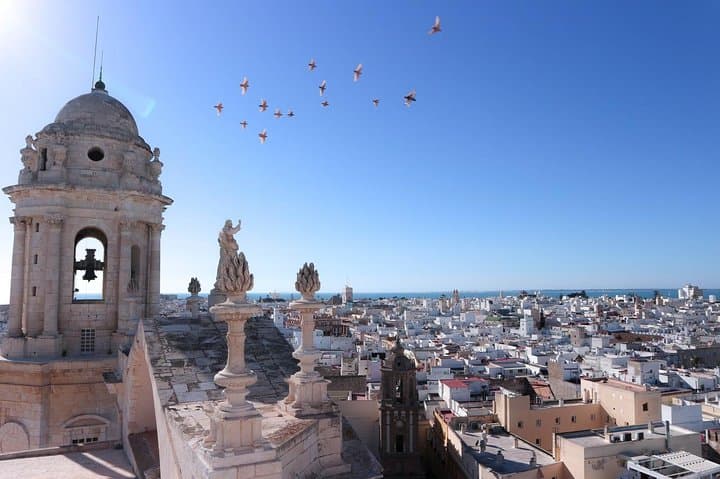 Private 8-hour Tour to Cadiz from Seville with hotel pick up and drop off