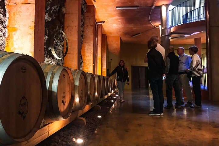 Wine tour