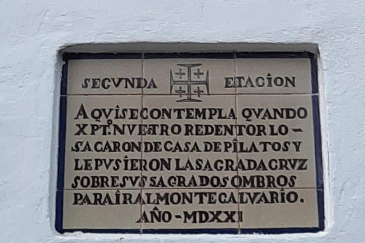 Private visit to Casa de Pilatos and Casa Salinas