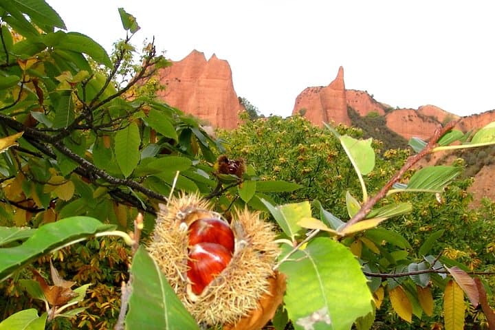 Marrows and Ponferrada from León