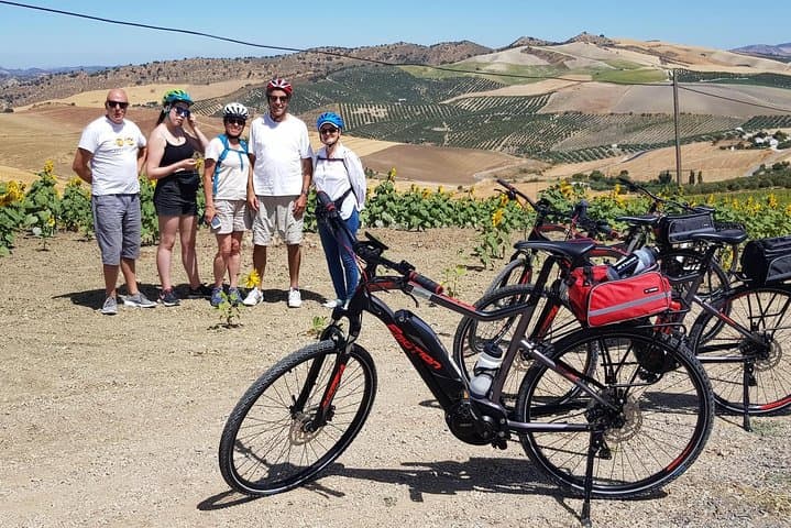 Wine & Tapas tour by electric bike (e-bike) including Ronda pickup (half day)