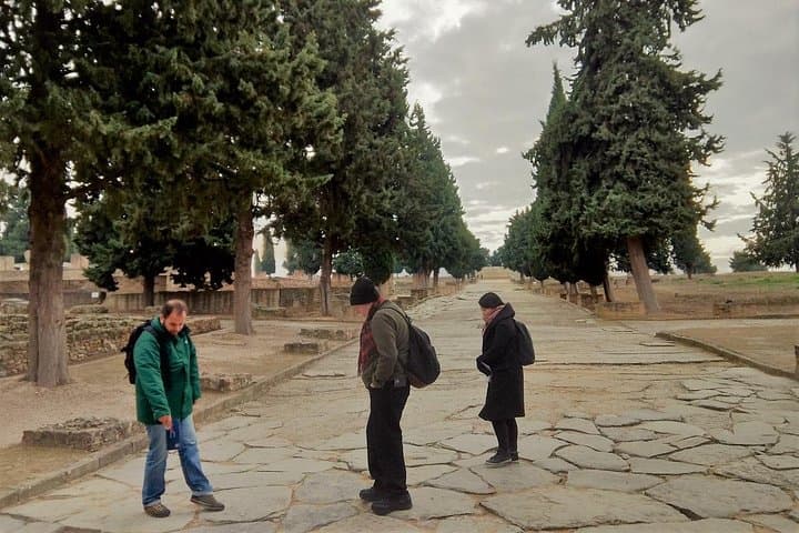 Visit to Italica Roman Ruins Tour tickets included