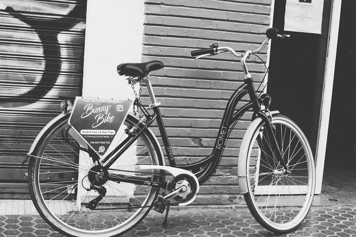 1 Day Bike Rental in Seville city