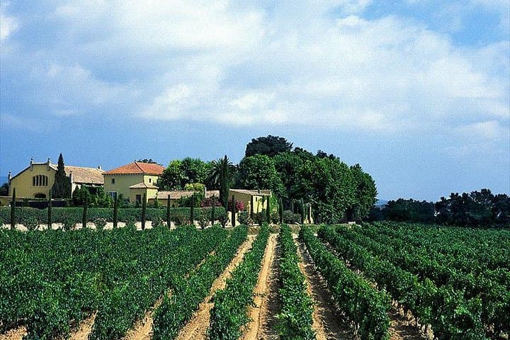 Winery Tour with Private Luxury Vehicle from Barcelona with Hotel pick up