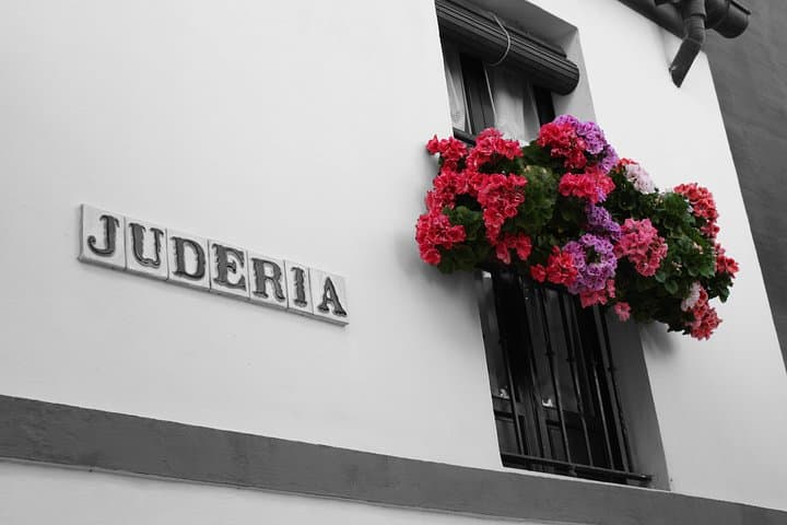 Private Tour Barrio Santa Cruz "la Judería de Sevilla"https://media-cdn.tripadvisor.com/media/attractions-splice-spp-720x480/15/7b/22/fa.jpg