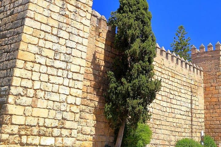 Seville in 1 day : Historic center, monuments and Jewry