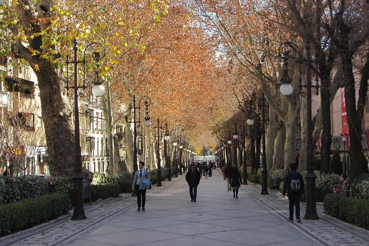Private tour of central Granada. Total per group max 15 people