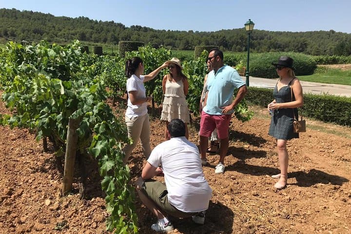 Private Day Trip from Barcelona to Montserrat