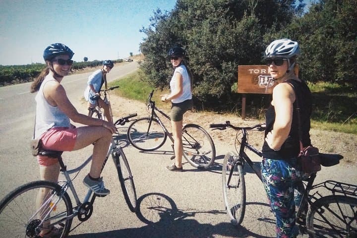 From Sitges: Bike Tour and Winery Visit with Free Hotel Pick Up.