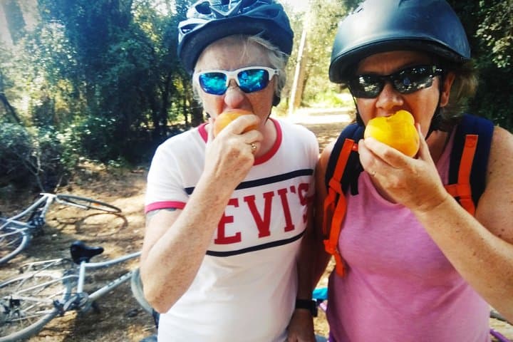 From Sitges: Bike Tour and Winery Visit with Free Hotel Pick Up.