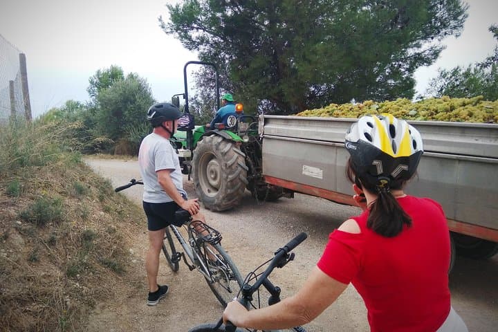 From Sitges: Bike Tour and Winery Visit with Free Hotel Pick Up.