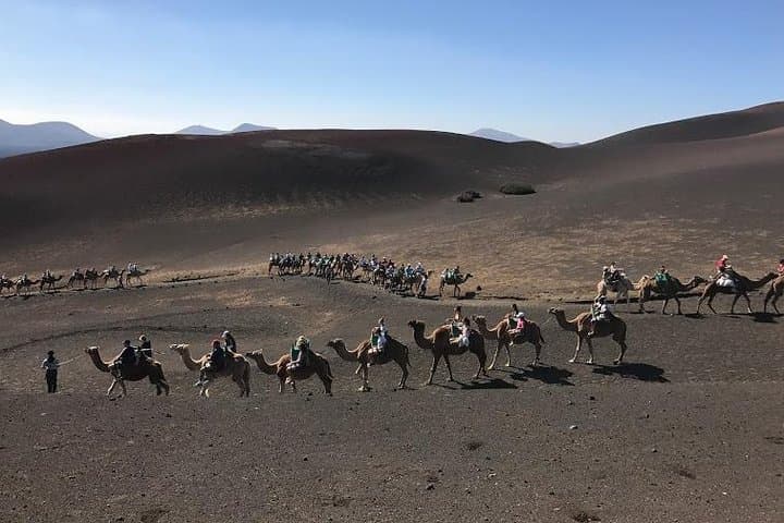 Camel Tour