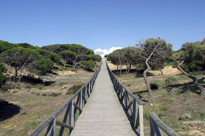 Donana National Park Horse or 4x4 Riding Day Trip
