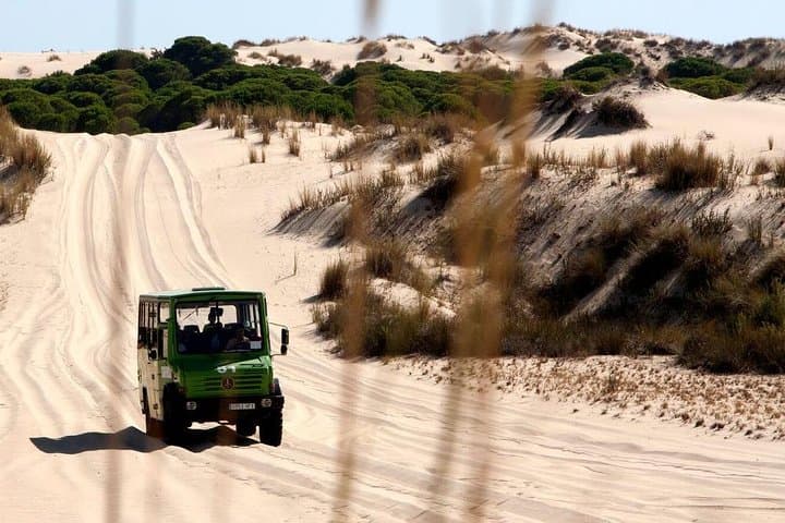 Donana National Park Horse or 4x4 Riding Day Trip