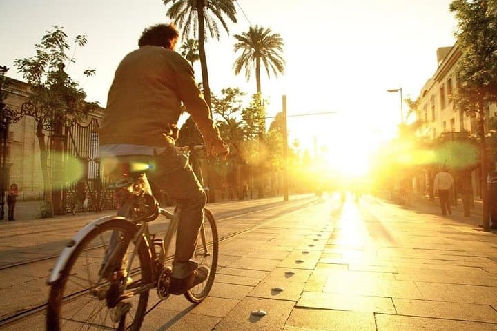 Highlights Electric Bike Tour