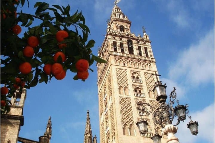 Group Seville Jewish Quarter and Cathedral