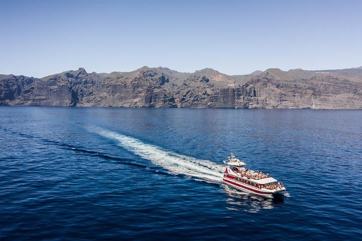 Dolphin and Whale Watching - Los Gigantes Masca - Lunch and Swim