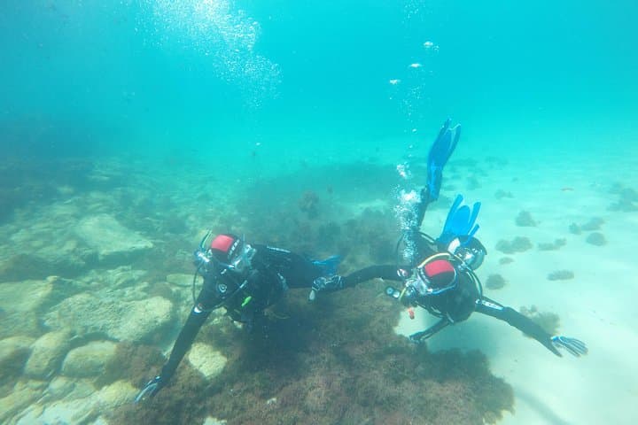 Baptism of diving in the Natural Park of the Strait