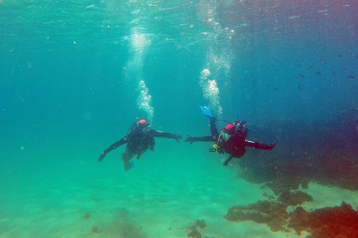 Baptism of diving in the Natural Park of the Strait