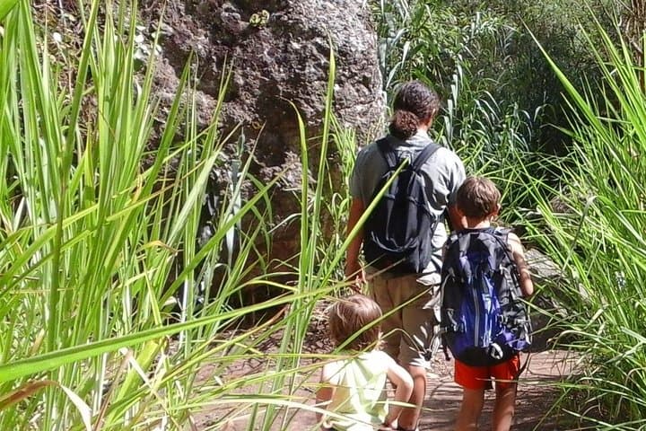 Ravine of Azuaje; an adventure for children