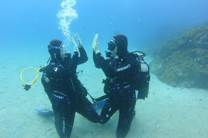 dsd 3